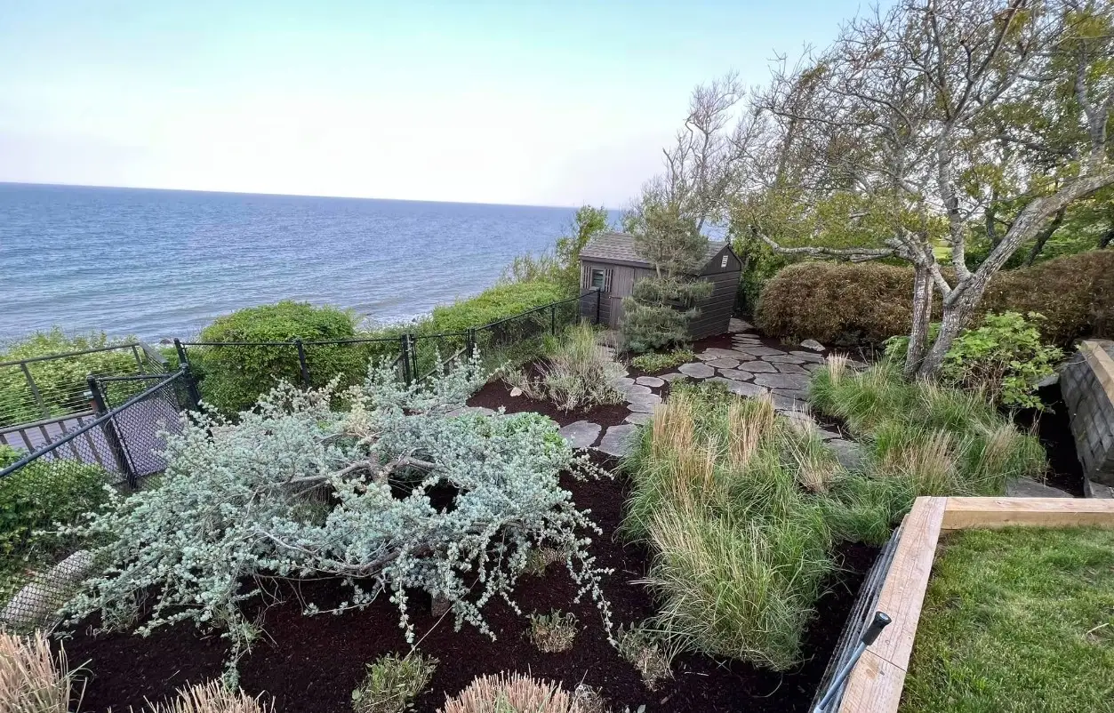 Backyard cleanup and mulch installation project in Plymouth MA