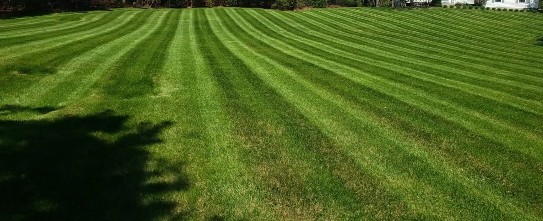 Large striped lawn mowing project completed by Medhaug Landscaping