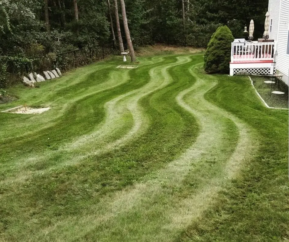 Curved striped lawn mowing pattern on backyard property