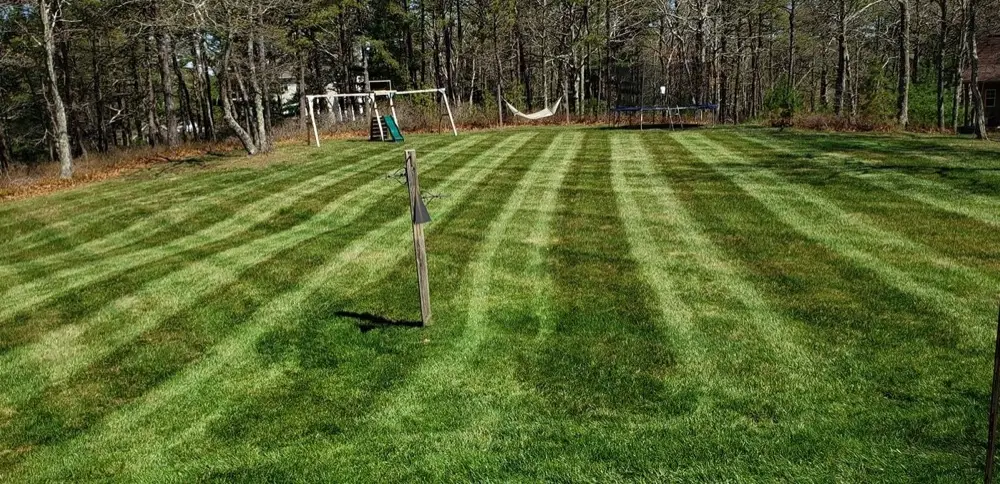 Backyard striped lawn after mowing service